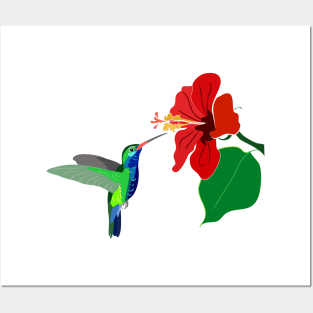 Hummingbird and red hibiscus flower Posters and Art